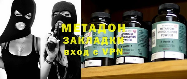 прущие грибы Рославль