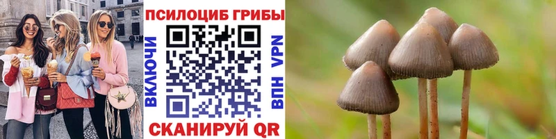 Псилоцибиновые грибы Cubensis  наркотики  Электроугли 